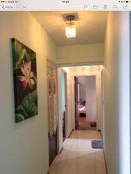 Blk 1C The Pinnacle@Duxton (Bukit Merah), HDB 4 Rooms #64056772